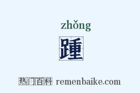 踵是什么意思的图片